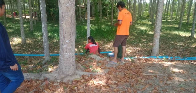 ประมวลภาพกิจการพัฒนาท้องถิ่นเกี่ยวกับสภาวะฝนแล้ง ฝนทิ้งช่วง และการขาดน้ำอุปโภค บริโภค ปี 2567