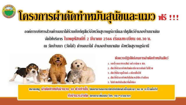 ประชาสัมพันธ์โครงการผ่าตัดทำหมันสุนัขและแมว (ฟรี) วันที่ 2 มี.ค 66 ณ วัดใต้