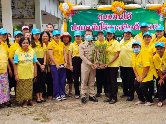 ปลูกผักสวนครัว รั้วกินได้