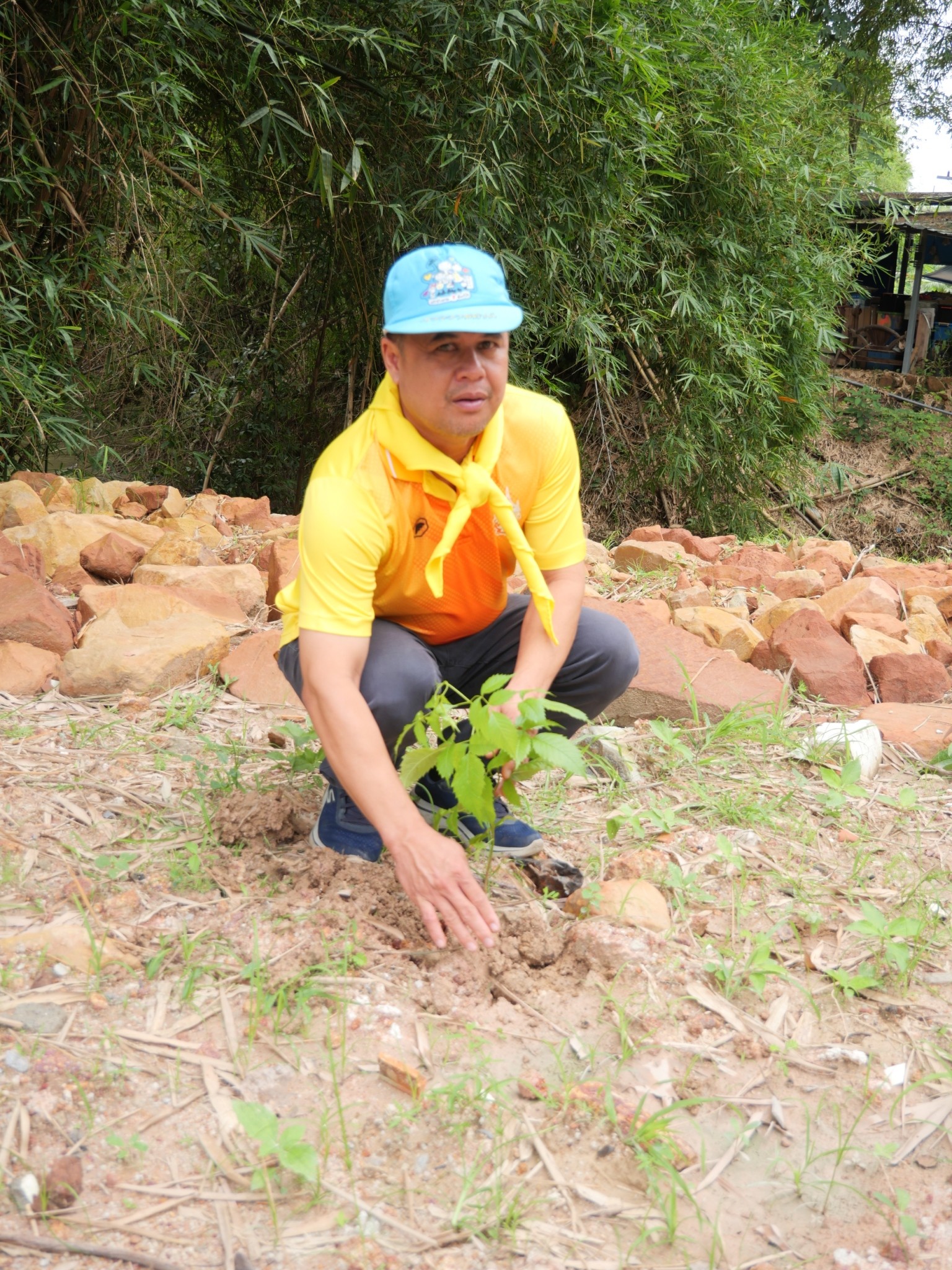 วันพุธ ที่ 22 ตุลาคม 2568 เวลา 13.30 น.
นายภัทรพล   คงทอง นายกองค์การบริหารส่วนตำบลนาใต้ พร้อมด้วย คณะบริหาร สมาชิกสภา  หัวหน้าส่วนราชการ และพนักงาน ร่วมกันจัดกิจกรรม วันรักต้นไม้ประจำปีของชาติ พ.ศ. 2568 โดยร่วมกิจกรรมปลูกต้นตะเคียนทอง ต้นทองอุไร ณ วันบ้านนา(วัดใต้)